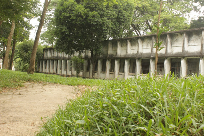 Bosna'da İngilizce Dil Eğitimi Acentaları